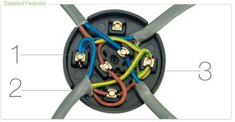 grade 3 junction box|3 way junction box diagram.